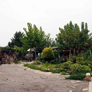 Lera De Cal Roger Verdu